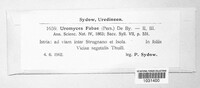 Uromyces viciae-fabae image